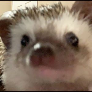 Meet your Posher, Heather